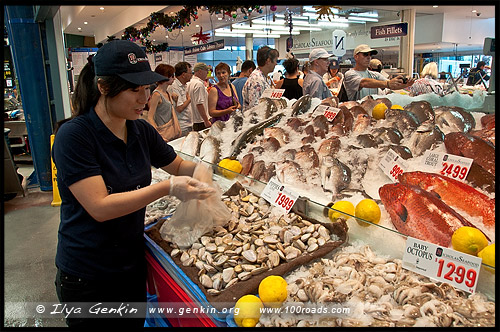 Сиднейский Рыбный Рынок, Sydney Fish Market, Пирмонт, Pyrmont, Сидней, Sydney, Австралия, Australia