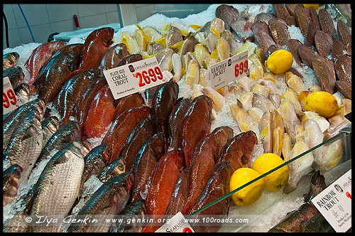 Сиднейский Рыбный Рынок, Sydney Fish Market, Пирмонт, Pyrmont, Сидней, Sydney, Австралия, Australia