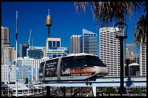 Сиднейский монорельс, Sydney Monorail, public transport, Сидней, Sydney, Австралия, Australia