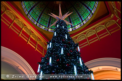 Рождественская елка, Swarovski Xmas Tree, Здание Королевы Виктории, Queen Victoria Building, Сидней, Sydney, Австралия, Australia