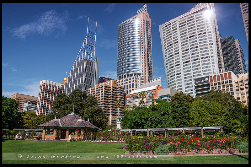 Королевские ботанические сады Сиднея, The Royal Botanic Garden Sydney, Сидней, Sydney, Австралия, Australia
