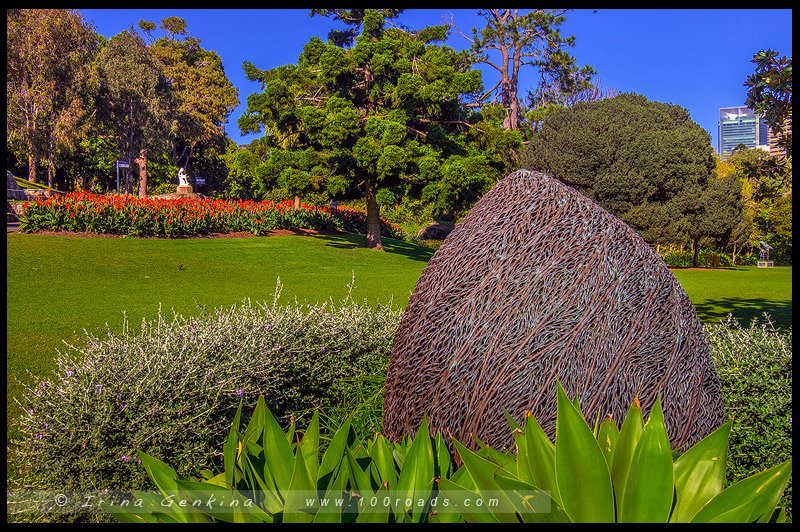 Королевские ботанические сады Сиднея, The Royal Botanic Garden Sydney, Сидней, Sydney, Австралия, Australia