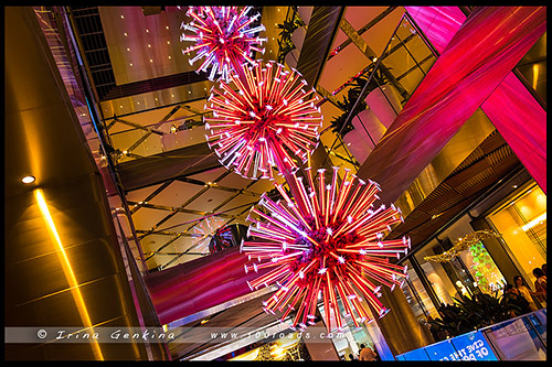 Рождественская елка, Westfield Shopping Centre, Сидней, Sydney, Австралия, Australia