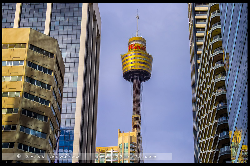 Сидней Тауэр, Sydney Tower, Сиднейская телебашня, Centrepoint Tower, Сидней, Sydney, Австралия, Australia