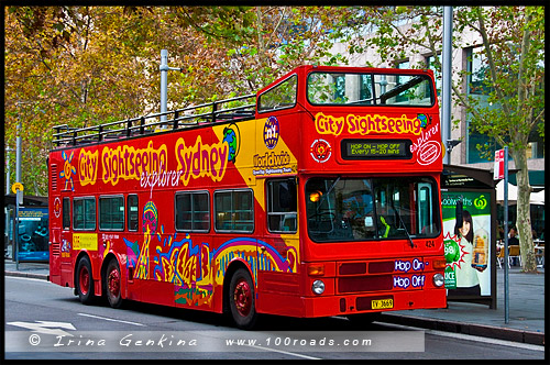 Общественный транспорт, public transport, Сидней, Sydney, Австралия, Australia
