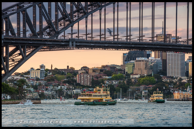 Общественный транспорт, public transport, Сидней, Sydney, Австралия, Australia