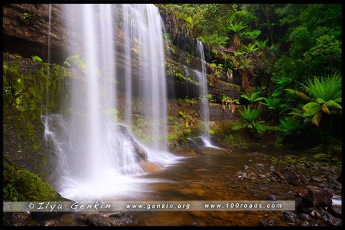 Водопад Расселл, Russell Falls, Тасмания, Tasmania, Австралия, Australia