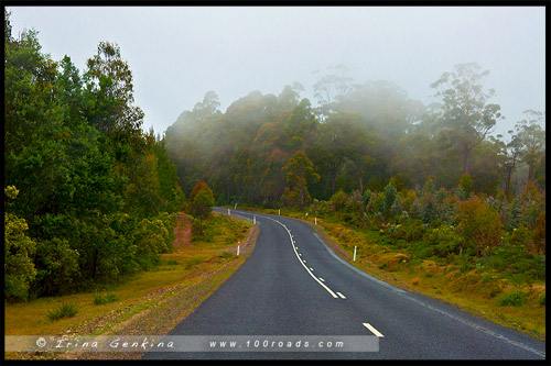 Озерное шоссе, Lake Highway, Дорога A5, Тасмания, Tasmania, Австралия, Australia