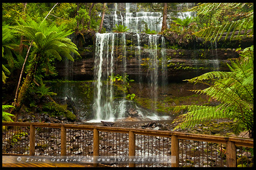Водопад Расселл, Russell Falls, Тасмания, Tasmania, Австралия, Australia