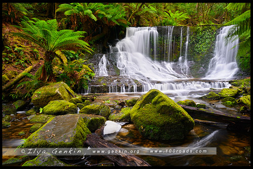 Водопад Подкова, Horseshoe Falls, Тасмания, Tasmania, Австралия, Australia