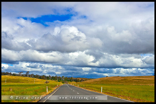 Шоссе Лайелл, Lyell Highway, Тасмания, Tasmania, Австралия, Australia