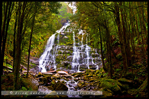 Водопад Нельсон, Nelson Falls, Тасмания, Tasmania, Австралия, Australia