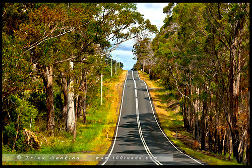 шоссе Лайелл, The Lyell Highway, Тасмания, Tasmania, Австралия, Australia