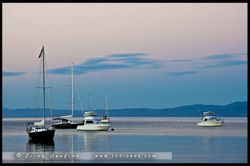 Залив Колс, Coles Bay, Тасмания, Tasmania, Австралия, Australia