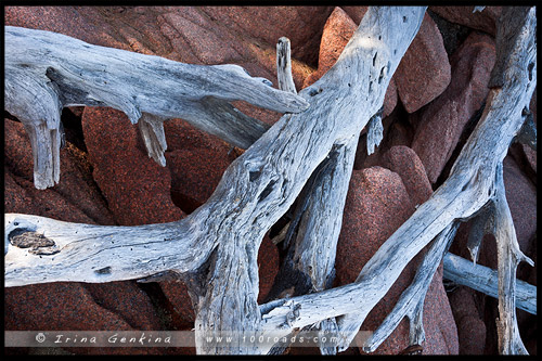 Залив Колс, Coles Bay, Тасмания, Tasmania, Австралия, Australia