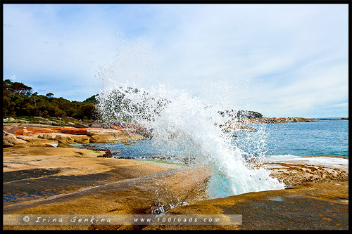 Bicheno Blowhole, Тасмания, Tasmania, Австралия, Australia