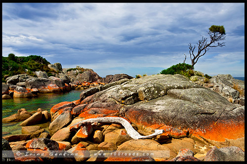 Биналонг Бэй, Binalong Bay, Тасмания, Tasmania, Австралия, Australia