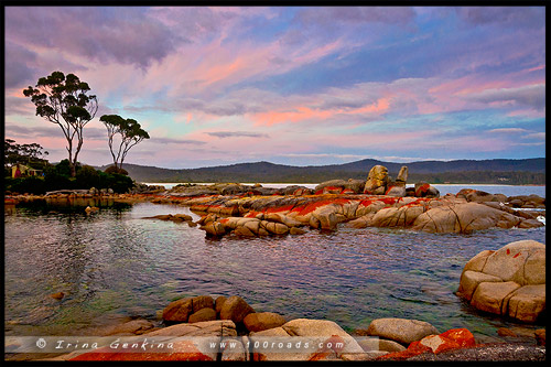 Биналонг Бэй, Binalong Bay, Тасмания, Tasmania, Австралия, Australia