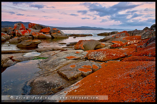 Биналонг Бэй, Binalong Bay, Тасмания, Tasmania, Австралия, Australia