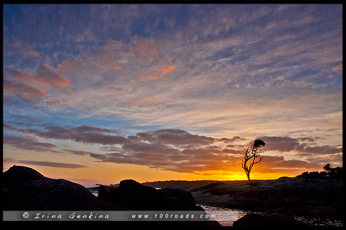 Биналонг Бэй, Binalong Bay, Тасмания, Tasmania, Австралия, Australia