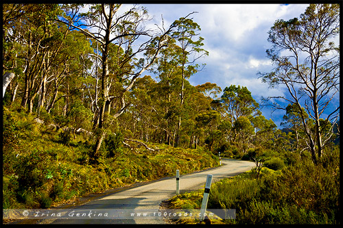 Крэдл Маунтен, Cradle Mountain, Тасмания, Tasmania, Австралия, Australia
