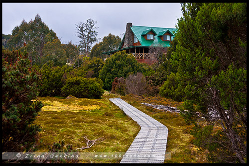 Крэдл Маунтен, Cradle Mountain, Тасмания, Tasmania, Австралия, Australia