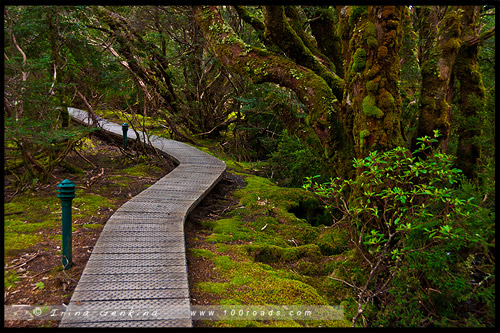 Крэдл Маунтен, Cradle Mountain, Тасмания, Tasmania, Австралия, Australia