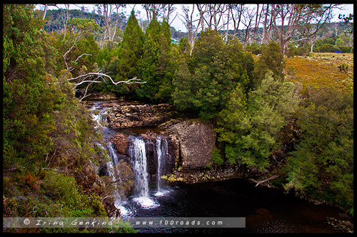 Крэдл Маунтен, Cradle Mountain, Тасмания, Tasmania, Австралия, Australia