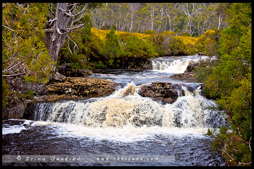 Крэдл Маунтен, Cradle Mountain, Тасмания, Tasmania, Австралия, Australia