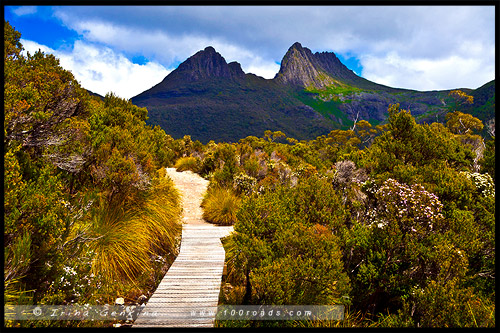 Крэдл Маунтен, Cradle Mountain, Тасмания, Tasmania, Австралия, Australia