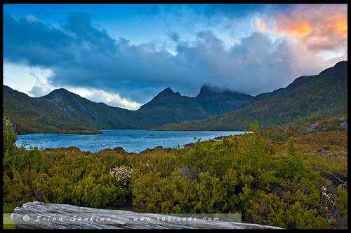 Крэдл Маунтен, Cradle Mountain, Тасмания, Tasmania, Австралия, Australia