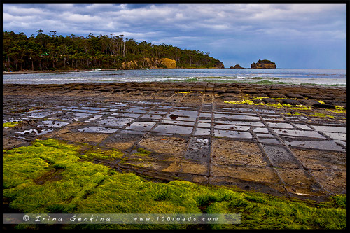 Мозаичный тротуар, Tessellated Pavement, Тасмания, Tasmania, Австралия, Australia