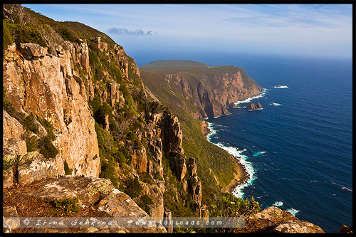 Мыс Рауль, Cape Raoul, Тасмания, Tasmania, Австралия, Australia