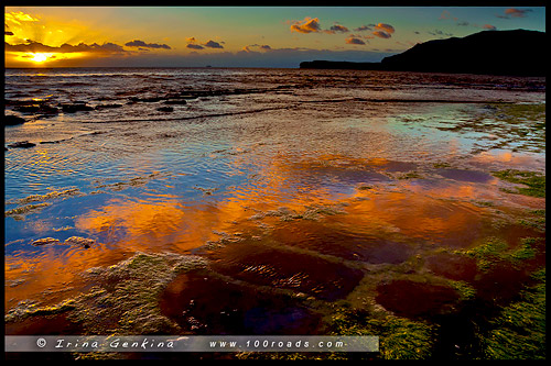 Мозаичный тротуар, Tessellated Pavement, Тасмания, Tasmania, Австралия, Australia