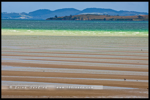 Dunalley Bay, Тасмания, Tasmania, Австралия, Australia