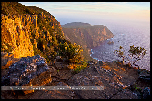 Мыс Рауль, Cape Raoul, Тасмания, Tasmania, Австралия, Australia