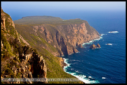 Мыс Рауль, Cape Raoul, Тасмания, Tasmania, Австралия, Australia