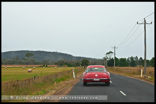 Шоссе Тасман, Tasman HWY, Тасмания, Tasmania, Австралия, Australia