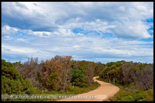 Дорога Эддистоун Роинт, Eddystone Point Rd, Тасмания, Tasmania, Австралия, Australia
