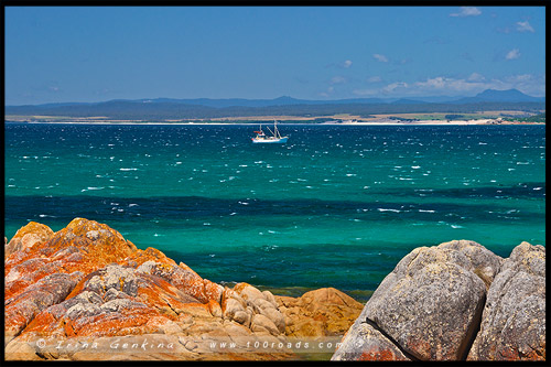 Маяк Эддистон, Eddystone Point Lighthouse, Тасмания, Tasmania, Австралия, Australia