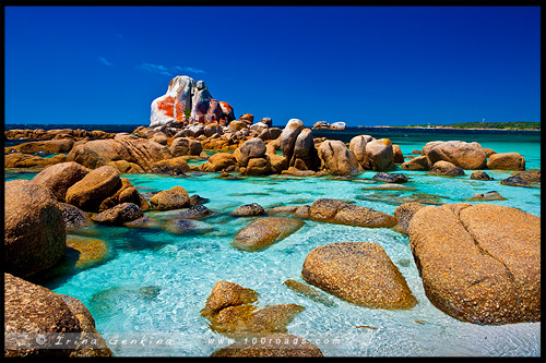 Picnic Rocks, Пикник Рокс, Скалы приятного времяпрепровождения, Eddystone Point, Пикник Рокс, Тасмания, Tasmania, Австралия, Australia