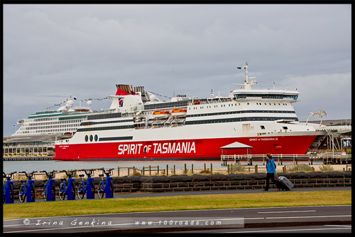 Лонсестон, Launceston, Тасмания, Tasmania, Австралия, Australia