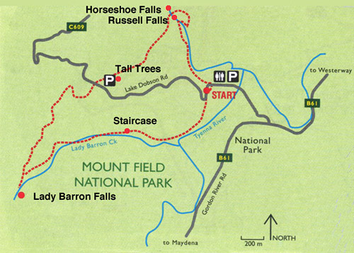 Водопад Леди Баррон, Lady Barron Falls, Тасмания, Tasmania, Австралия, Australia