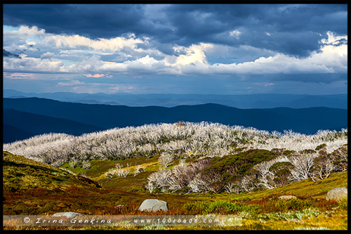 Высокогорье Богонг, Bogong High Plains, Фолс Крик, Falls Creek, Викторианские Альпы, Victorian Alps, Австралия, Australia