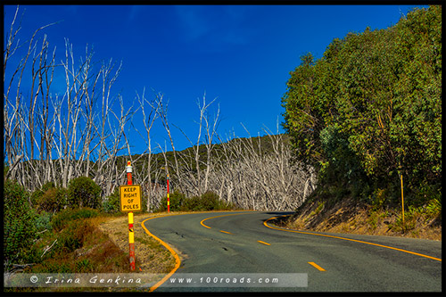 Высокогорье Богонг, Bogong High Plains, Фолс Крик, Falls Creek, Викторианские Альпы, Victorian Alps, Австралия, Australia