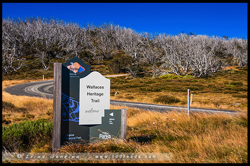 Историческая тропа Уоллесов, Wallaces Heritage Trail, Высокогорье Богонг, Bogong High Plains, Фолс Крик, Falls Creek, Викторианские Альпы, Victorian Alps, Австралия, Australia