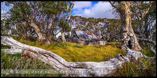 Хижина Уоллесов, Wallaces Hut, Высокогорье Богонг, Bogong High Plains, Фолс Крик, Falls Creek, Викторианские Альпы, Victorian Alps, Австралия, Australia