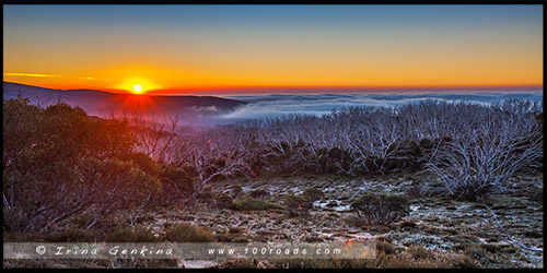 Wallaces Heritage Trail, Историческая тропа Уоллесов, Высокогорье Богонг, Bogong High Plains, Фолс Крик, Falls Creek, Викторианские Альпы, Victorian Alps, Австралия, Australia