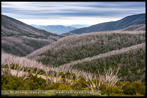 Wallaces Heritage Trail, Высокогорье Богонг, Bogong High Plains, Фолс Крик, Falls Creek, Викторианские Альпы, Victorian Alps, Австралия, Australia