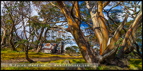 Хижина Уоллесов, Wallaces Hut, Высокогорье Богонг, Bogong High Plains, Фолс Крик, Falls Creek, Викторианские Альпы, Victorian Alps, Австралия, Australia